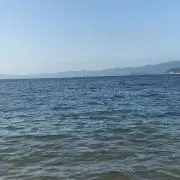 さかなの画像
