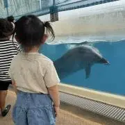 kohamamaの画像