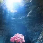 247断捨離の画像