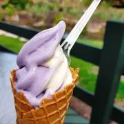 y.n.れぼの画像