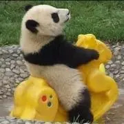 ぱんだ。