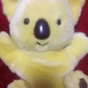 こあらちゃん（プロフ必読）の画像