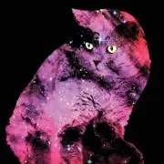 紆余/ウヨの画像