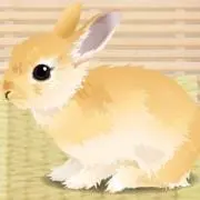 アポロ
