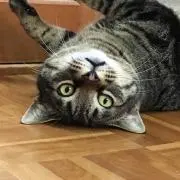 ムーヴン