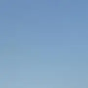 mimoの画像
