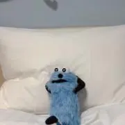 名代の画像