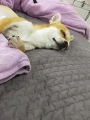りおひ
