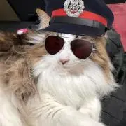アサイ・ミキコ