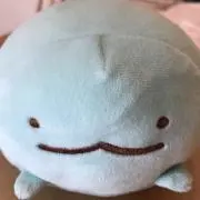 ムートの画像