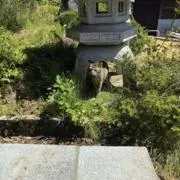 ぽんすけの画像