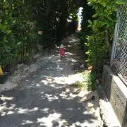 みーの画像