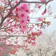 ぶる