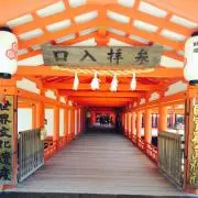 ペケの画像