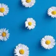 ｉｒｏの画像