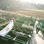 IMMの画像