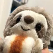 うさこ(販売7月末まで・ご相談お気軽に)の画像
