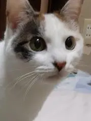 ☆YONA☆(変更しました(´- `*)の画像
