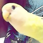 mokumofuの画像