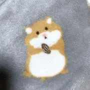 Image of nya