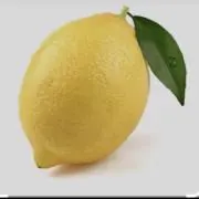 レモンの画像