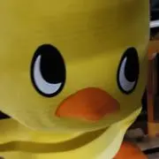 華金の画像