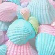 Rikuの画像