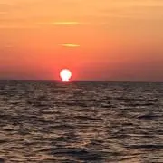 やまげー