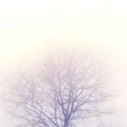 me☆の画像