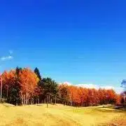 りんの画像