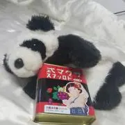 パンダっ子