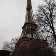 Malayの画像