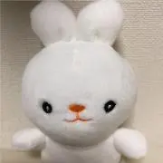 ウサンタの画像