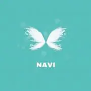 NAVIの画像