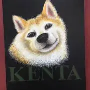 コテツの画像