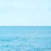 YukiChiの画像