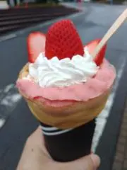 永遠の初心者☆の画像