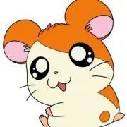 ハム