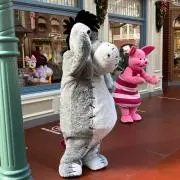 ぴぃ☆彡.。の画像