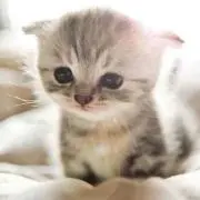 ぬんぬん