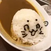 杏の画像