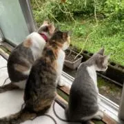kazzの画像