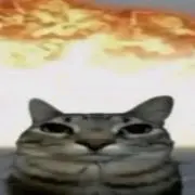 フルフルエナジー