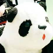 端っこの画像
