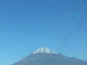 はなの画像