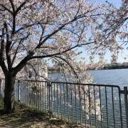 gaatamaの画像
