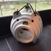 エツママの画像