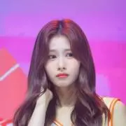 Sasaの画像