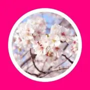 Image of フォロー割あり❤️PinkPeach