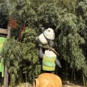 rrの画像